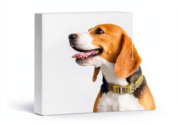 Pet Ear Care Solution Pet King Brands Soothes Infections-1