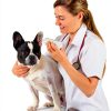 Curaseb Dog Cat Ear Wipes Cleans Deodorizes Vet Formulated-4