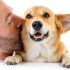 VetWELL Dog Ear Cleaner Gentle Aloe Eucalyptus Formula-4