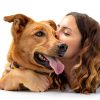 VetWELL Dog Ear Cleaner Gentle Aloe Eucalyptus Formula-6