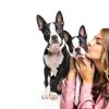 Senproco Dog Ear Cleaner Witch Hazel Professional Grooming-3