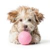 VetWELL Pet Ear Infection Treatment Ketoconazole Tris-2