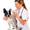 Curaseb Dog Cat Ear Wash Cleaner Vet Formulated USA Made-3