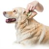 Scrubby Pet Dog Ear Wipes Aloe Eucalyptus Cleaner-5